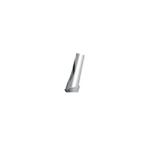 i-Fix Angled Type Angled Abutment