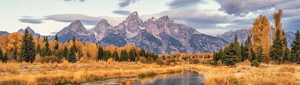 About Meridian Trust