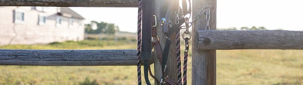 Business Savings Accounts