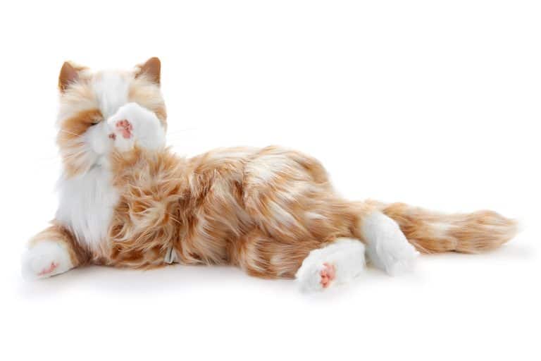 Roboterkatzen für Menschen mit Demenz
