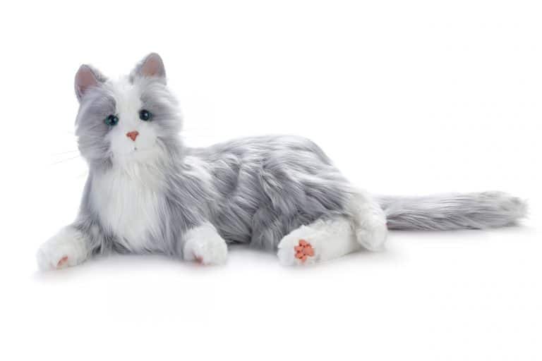Roboterkatzen für Menschen mit Demenz