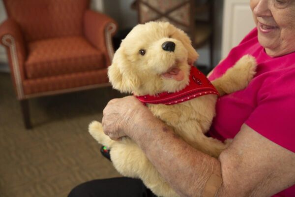 Begleithund für Menschen mit Demenz
