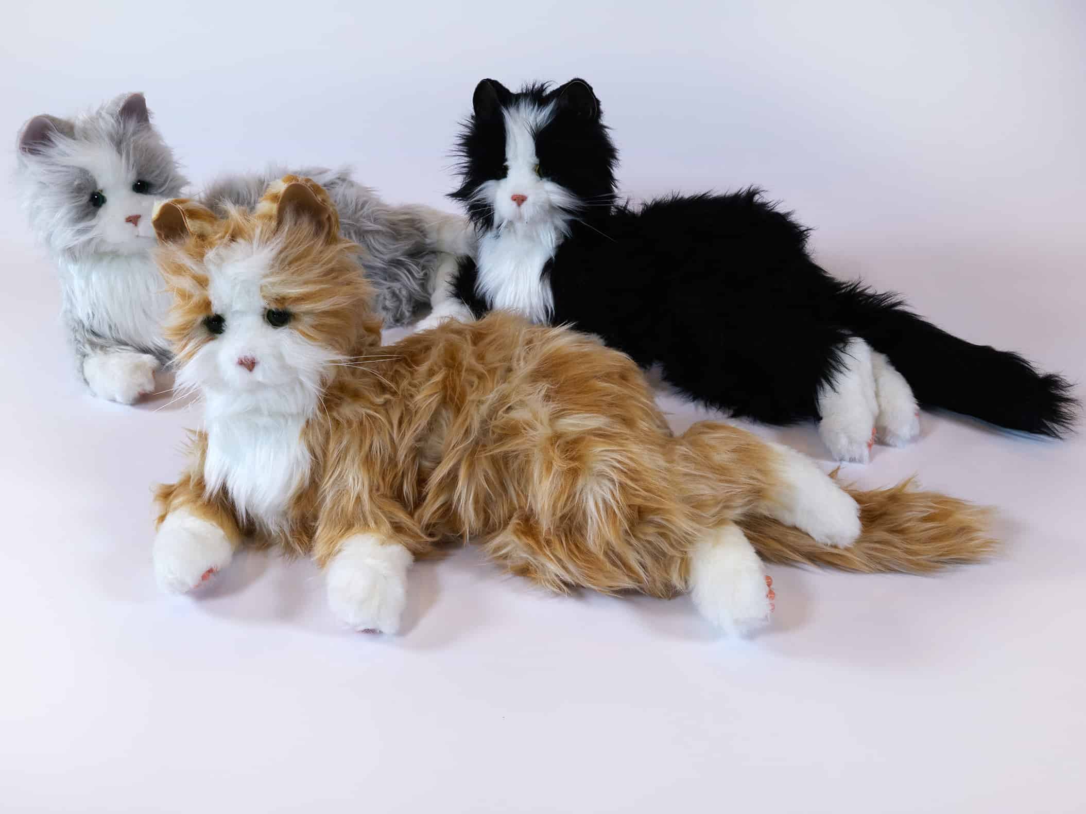 Roboterkatzen – Bild 2