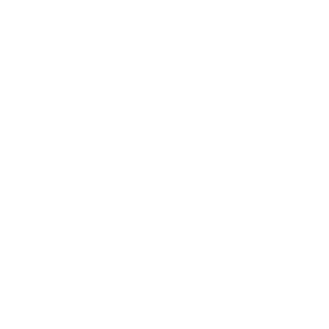 Posso Logo weiss