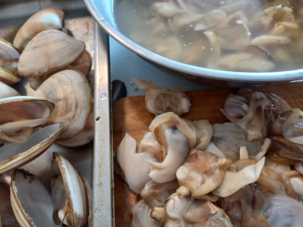 de shelling clams. The cleaned clam meat is soaking in salt water