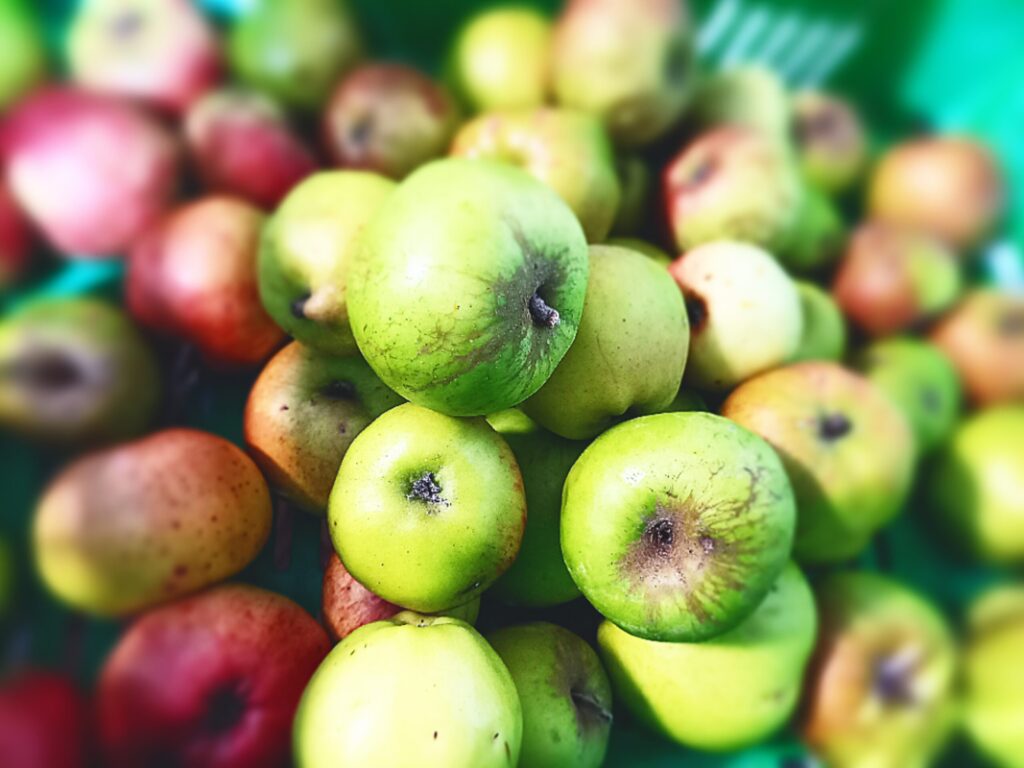 A large green crates full of green and red apples