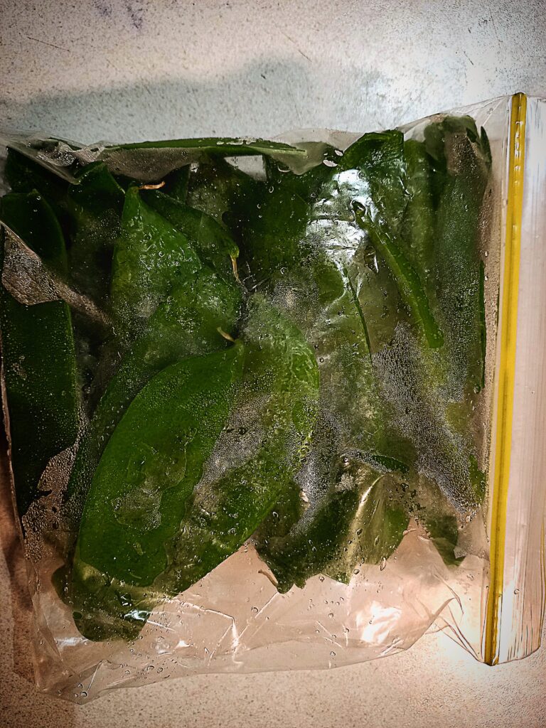 A zip lock bag with frozen snow peas inside