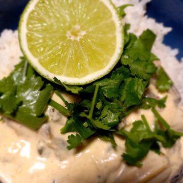 curried coconut mussels in a blue bowl plate with rice and fresh coriander leaves on top