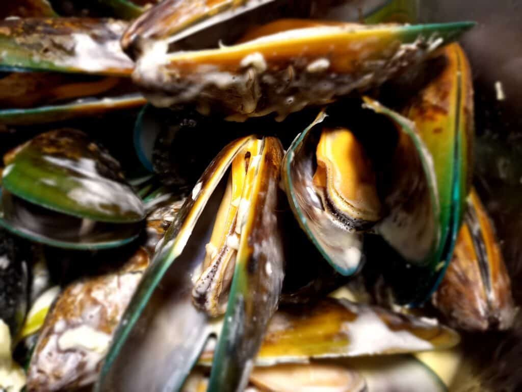 steamed mussels with creamy sauce