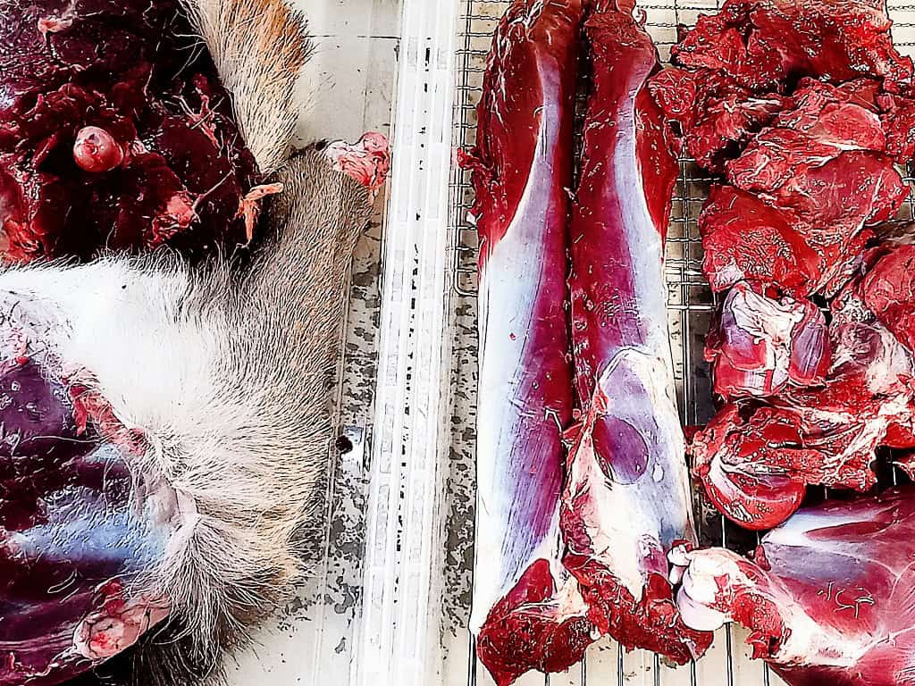 Butchered venison meat in two plastic tubs