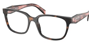Optical glasses with tortoiseshell frame at MySpec Haymarket.