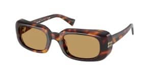 Tortoiseshell sunglasses with brown lenses at MySpec Optometrist Haymarket.