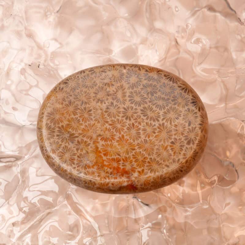 Chrysanthemum stone worry stone with flower-like pattern
