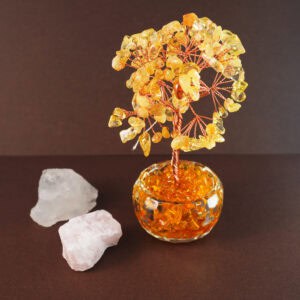 Citrine Money Tree displayed on a shelf near sunlight and stones