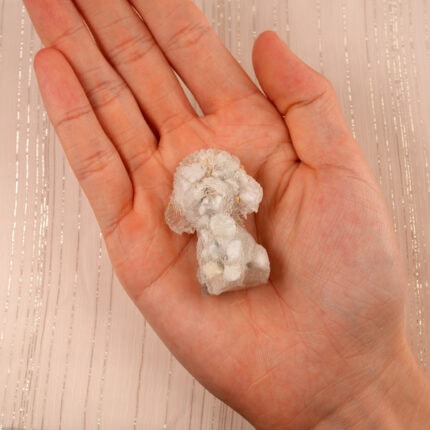 Hand holding the Natural Resin White Turquoise Dog Figurine, highlighting its smooth finish and intricate details