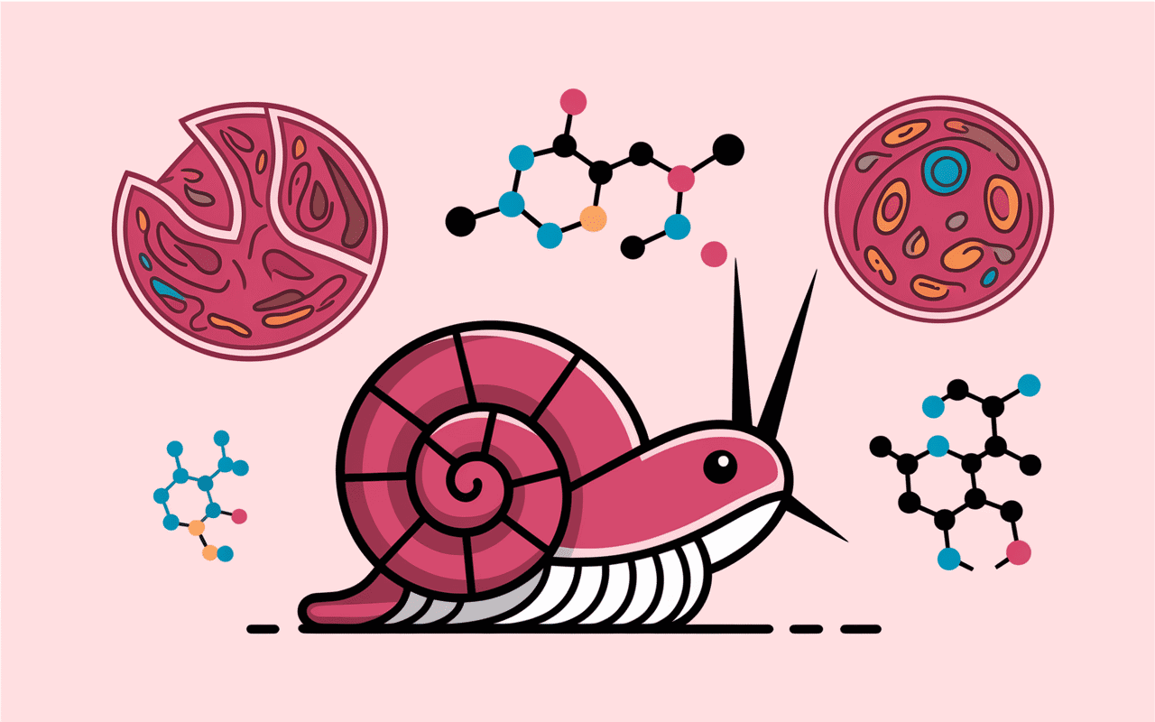 Schéma scientifique Damaclea