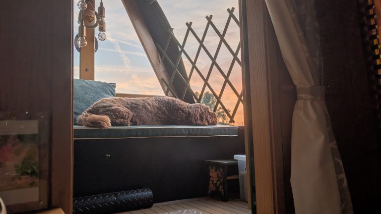 Dog resting on narrowboat deck during sunset with scenic sky view.