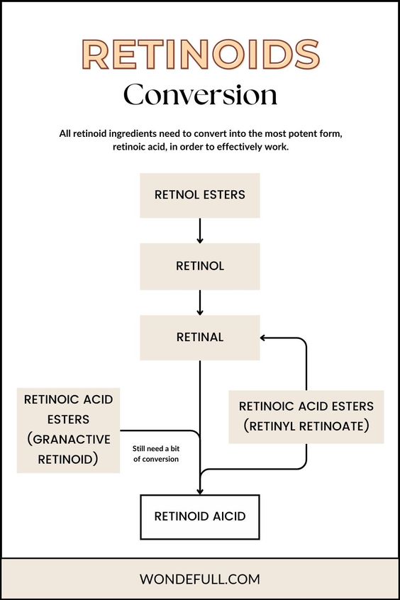 Retinaldehyde vs retinol vs retinol esters