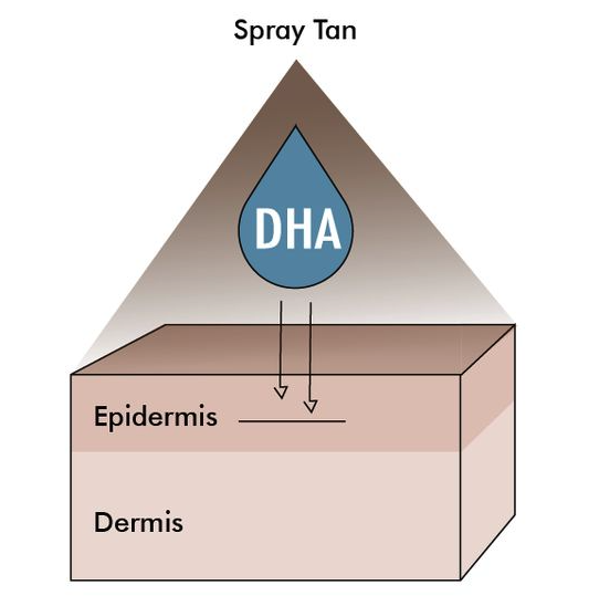 Best moisturizer for spray tan