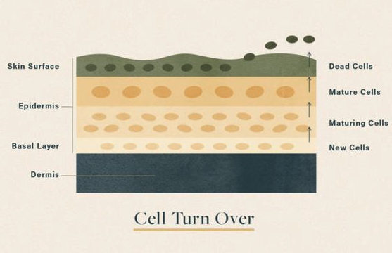 how does Dermatica work for acne