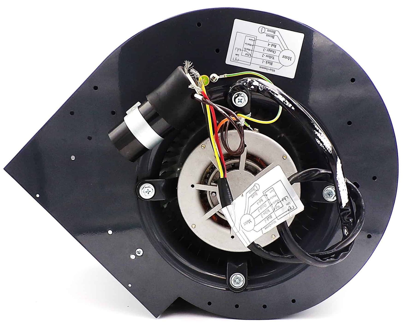NBK-20958 BLOWER MOTOR, 115V 1/3 HP, 60HZ - Image 4