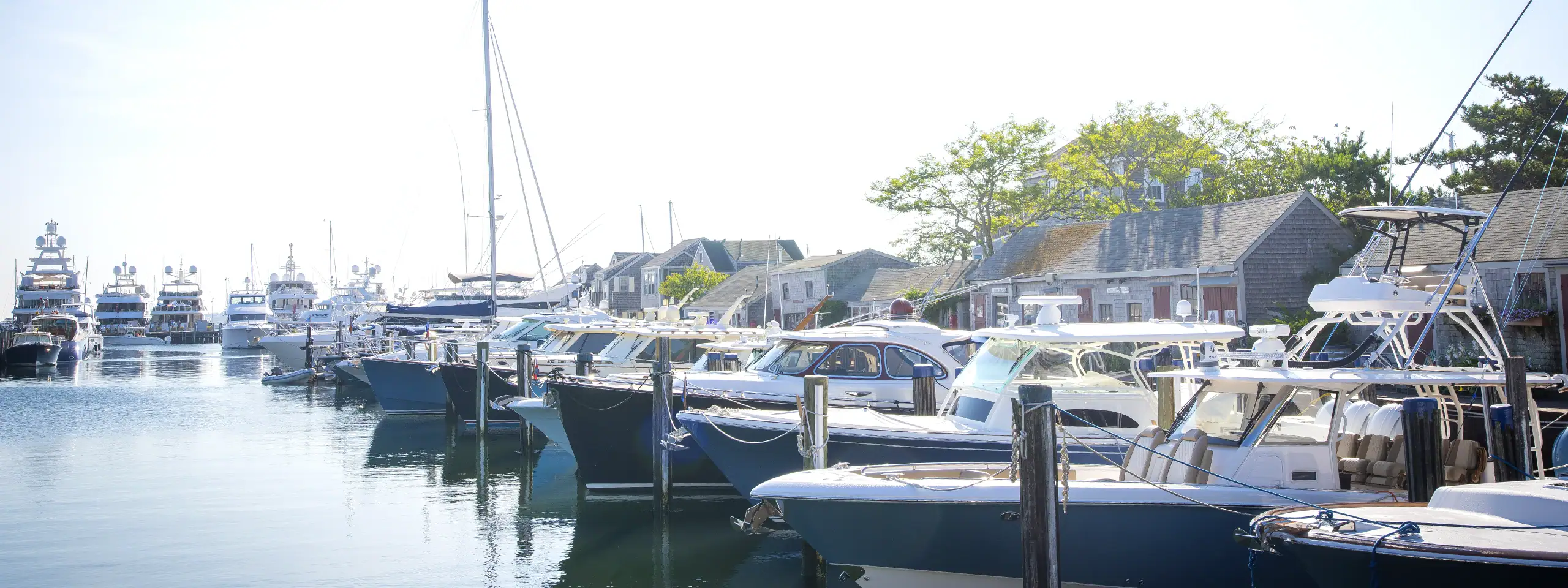 Marina with boats docked and waterfront houses in the background.