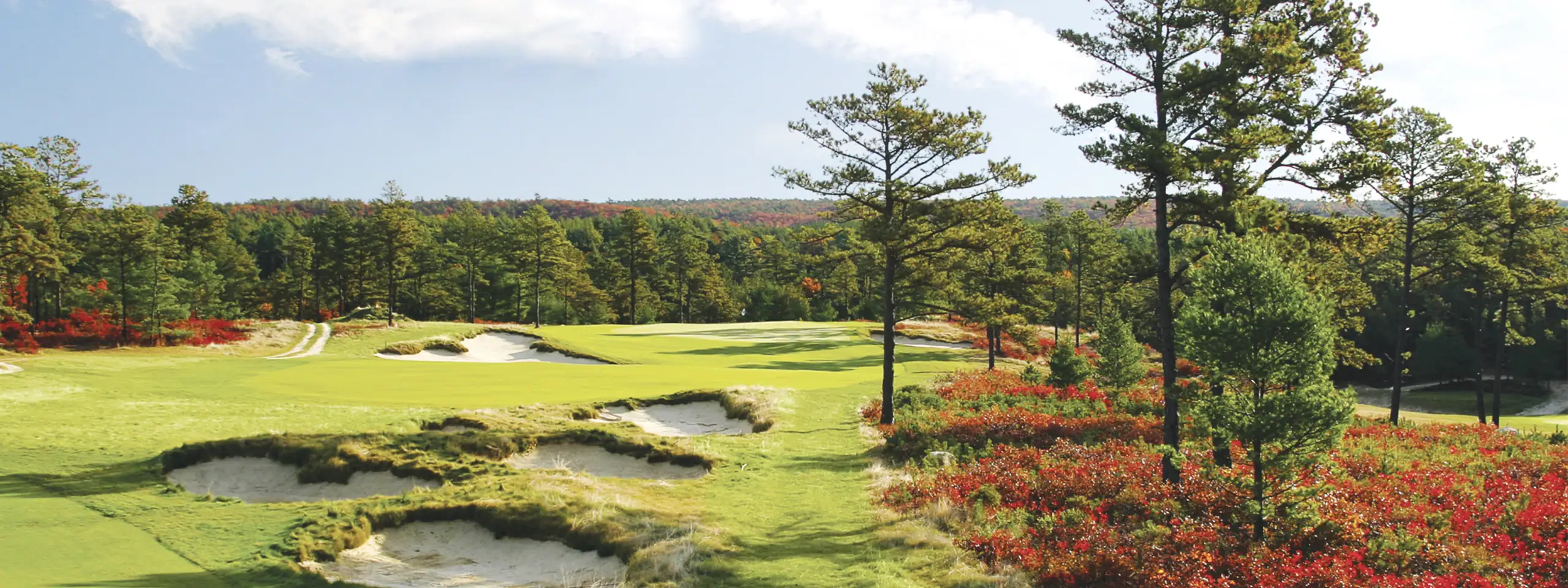 A scenic golf course with sand traps, green fairways, and tall trees in the background.