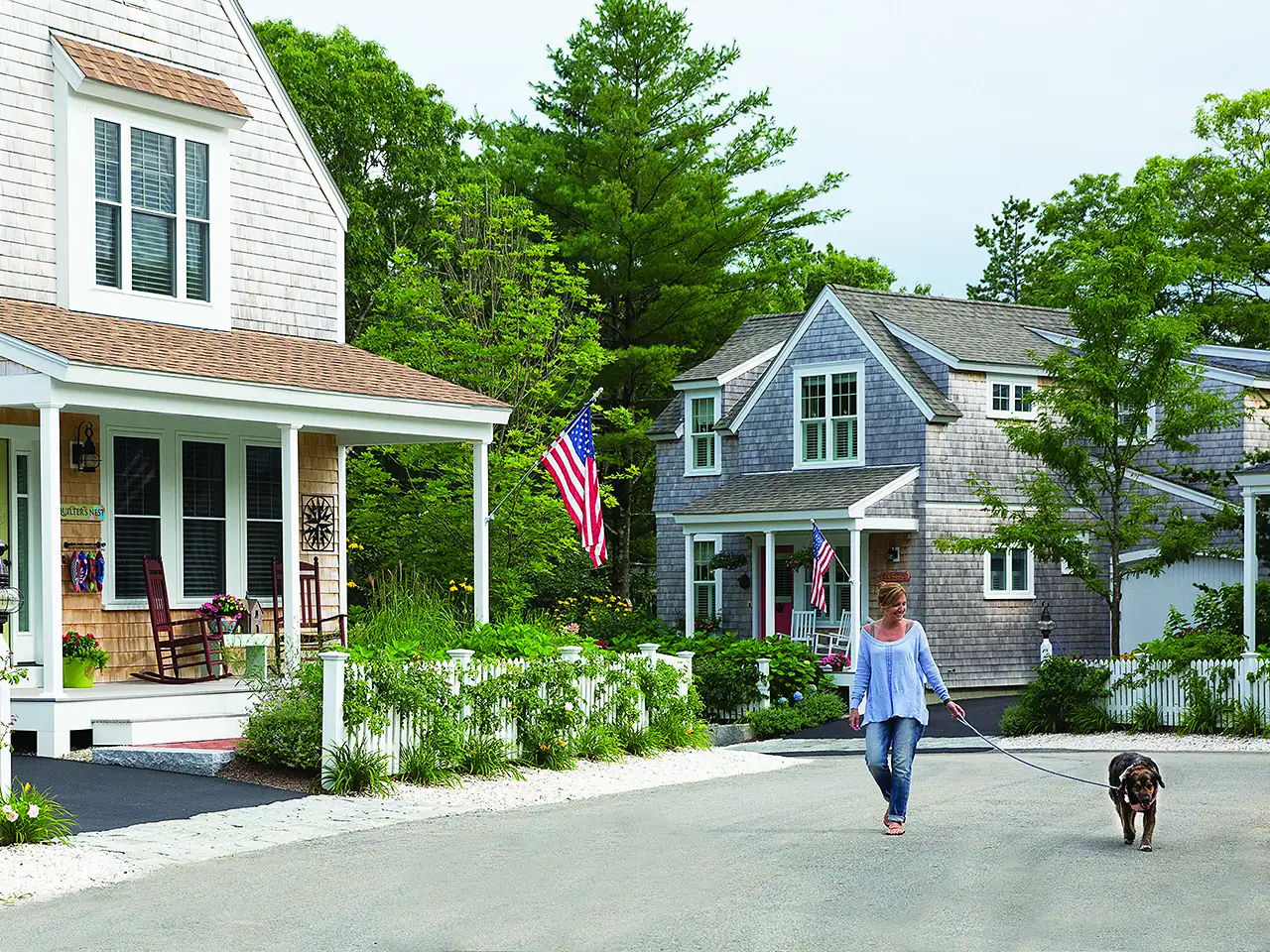 Woman walking her dog on a suburban street with colorful houses and greenery.