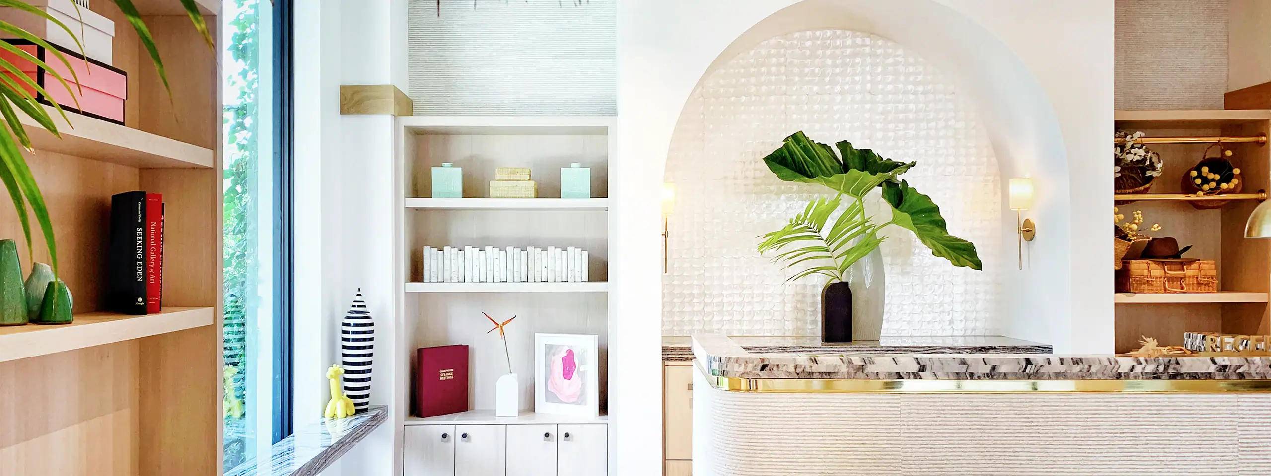 Modern interior with a green plant, books, and decorative items on shelves.