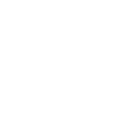 WordPress Logo