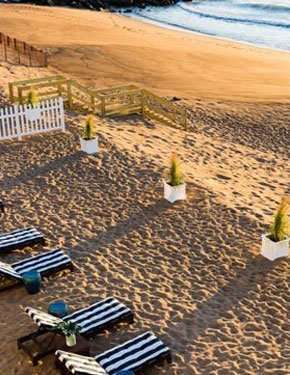 Beach chairs and potted plants on sandy beach with ocean in background.
