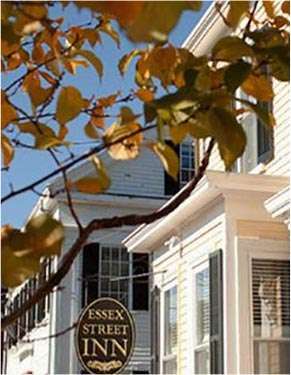 Tree with yellow leaves in front of Essex Street Inn building with sign.