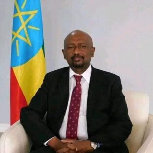 Seleshe Bekele Ethiopian ambassador