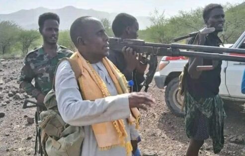 Afar Somali clashes
