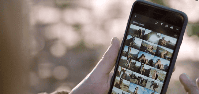 Accessible on Smartphones