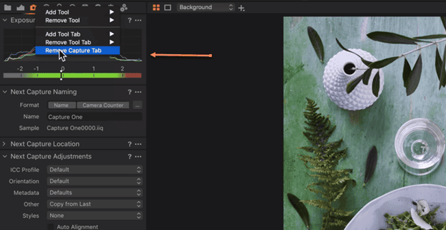 Customizing the Workspace