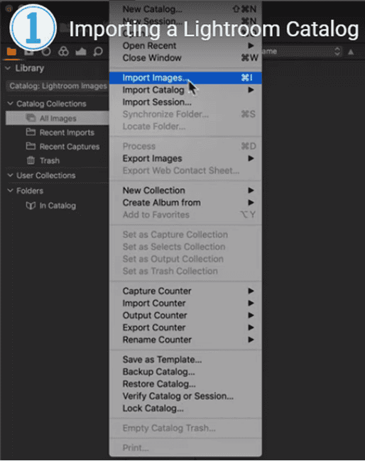 Importing Catalog