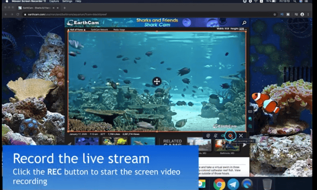Live Stream Recording