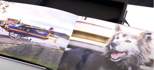 Professional Printing Services