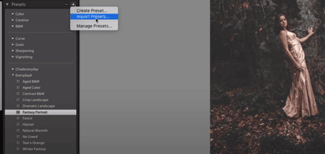 Adding Lightroom Presets
