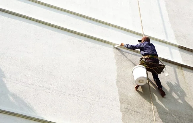 Consulting Professional Painters