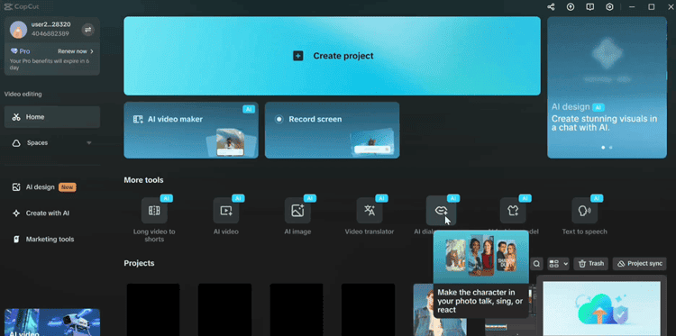The User Experience of CapCut AI