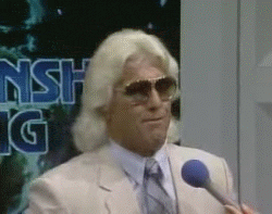 ric-flair-woo