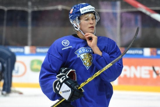 Photo Credit: Leijonat.fi