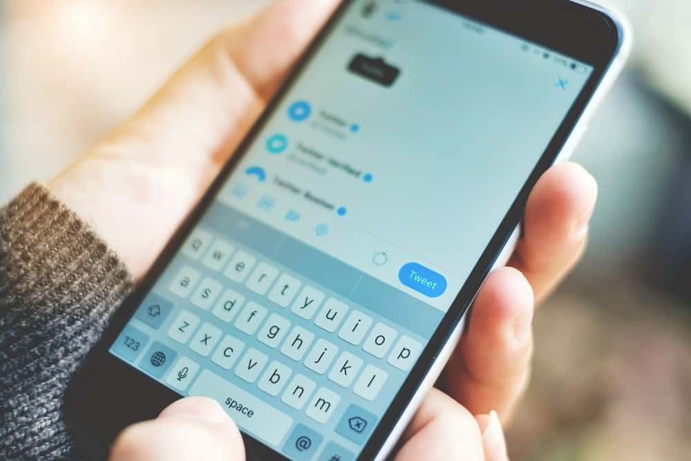 Person holding a brand new Apple iPhone with Twitter logo on the screen. Twitter is a social media online service for microblogging and networking communication. Person holding a brand new Apple iPhone with Twitter logo on the screen