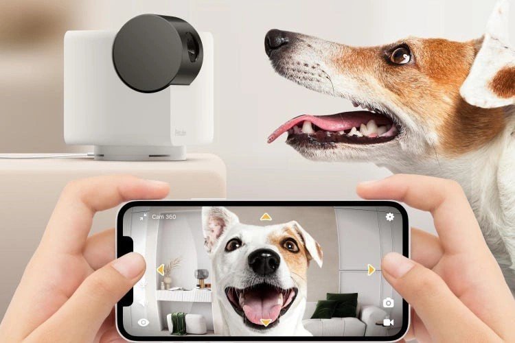 Smart Pet Camera