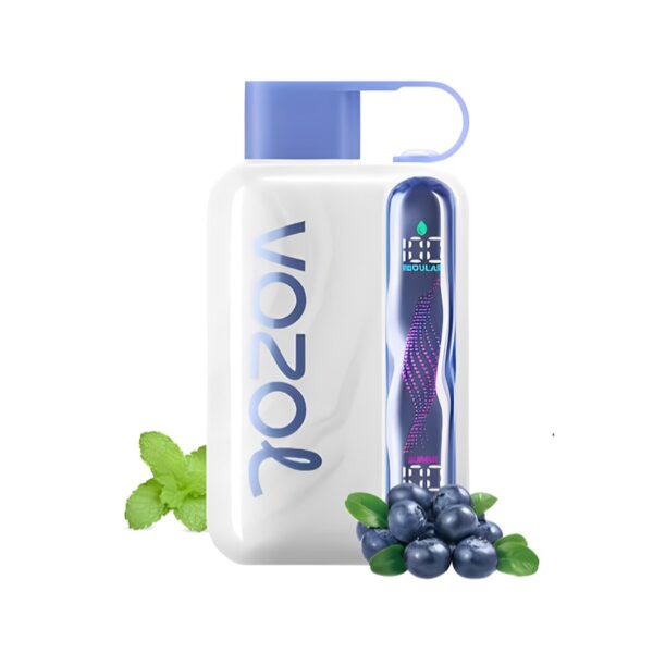 Vozol Star 40000 Blueberry Mint
