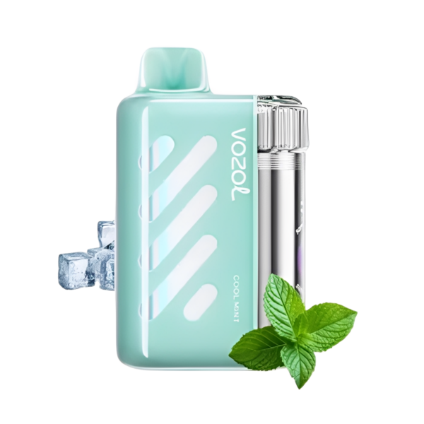 Vozol Vista 40000 Cool Mint