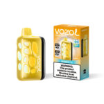 Vozol Rave 40000 Mango Ice