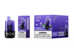 Bang Leader 120k Blueberry Ice/Black Currant